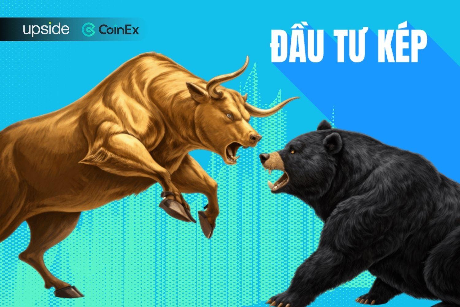 Đầu tư kép và cách kiếm lợi suất trong cả thị trường tăng và giảm